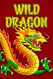 Wild Dragon